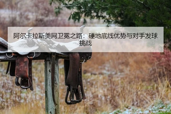 a-er-ka-la-si-mei-wang-wei-mian-zhi-lu-ying-di-di-xian-you-shi-yu-dui-shou-fa-qiu-tiao-zhan-2-805.jpg