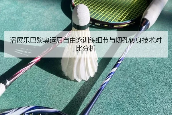 潘展乐巴黎奥运后自由泳训练细节与切孔转身技术对比分析