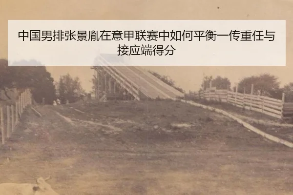 zhong-guo-nan-pai-zhang-jing-yin-zai-yi-jia-lian-sai-zhong-ru-he-ping-heng-yi-chuan-zhong-ren-yu-jie-ying-duan-de-fen-2-830.jpg