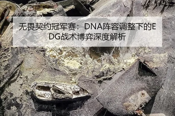 无畏契约冠军赛：DNA阵容调整下的EDG战术博弈深度解析