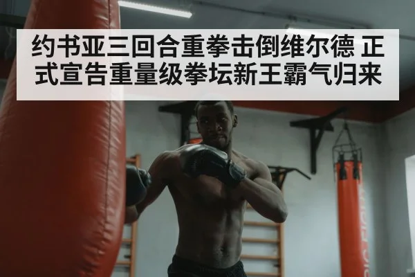 约书亚三回合重拳击倒维尔德 正式宣告重量级拳坛新王霸气归来