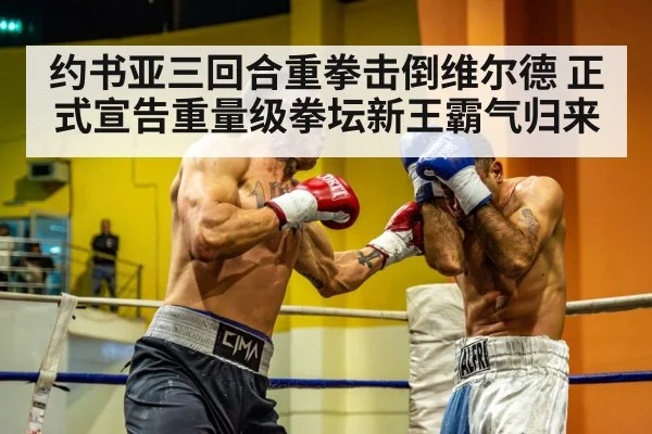 heavyweight boxing match