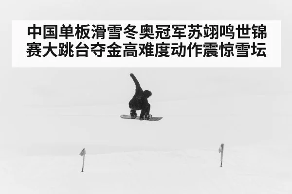 中国单板滑雪冬奥冠军苏翊鸣世锦赛大跳台夺金高难度动作震惊雪坛