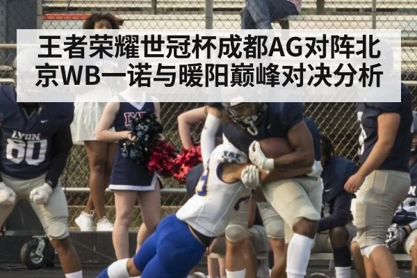 王者荣耀世冠杯成都AG对阵北京WB一诺与暖阳巅峰对决分析