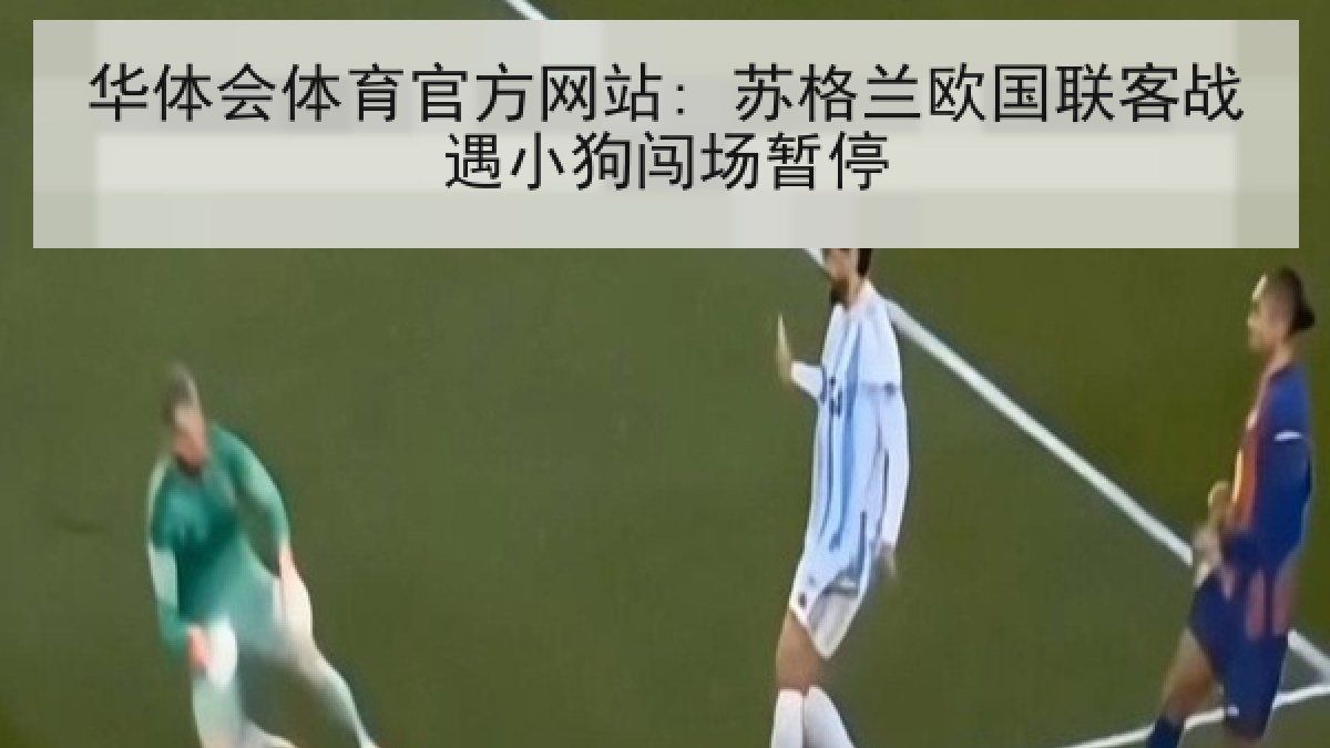 华体会体育官方网站: 苏格兰欧国联客战遇小狗闯场暂停