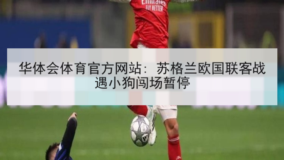 华体会体育官方网站: 苏格兰欧国联客战遇小狗闯场暂停